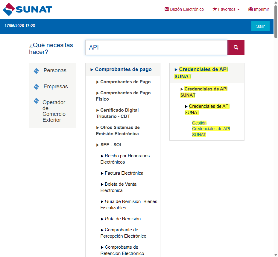 Buscador del menú: "API".
